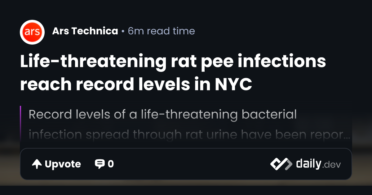 Life-threatening rat pee infections reach record levels in NYC | daily.dev